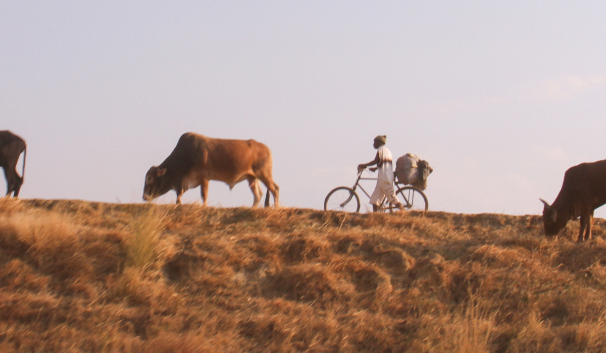 Towards a Common Vision of Climate, Peace and Security in Zambia