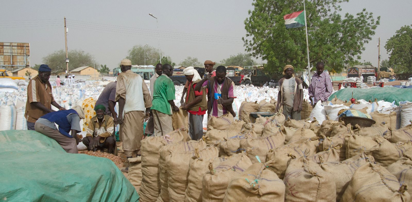 Beyond Bullets and Borders: How Livestock and Gum Arabic are Financing Sudan’s War